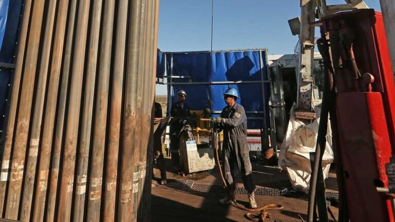 "Vaca Muerta necesita bajar un 30% sus costos para competir a escala global"