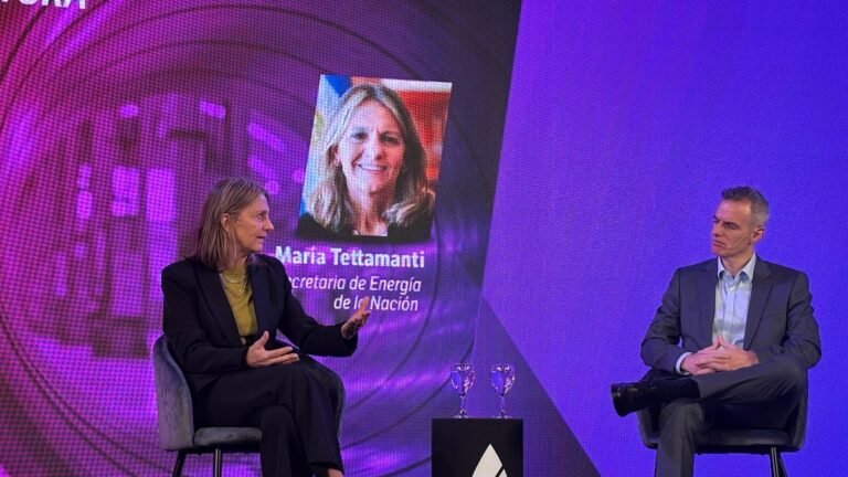María Tettamanti ratificó que las industrias deberán asegurarse el gas o enfrentar cortes este invierno
