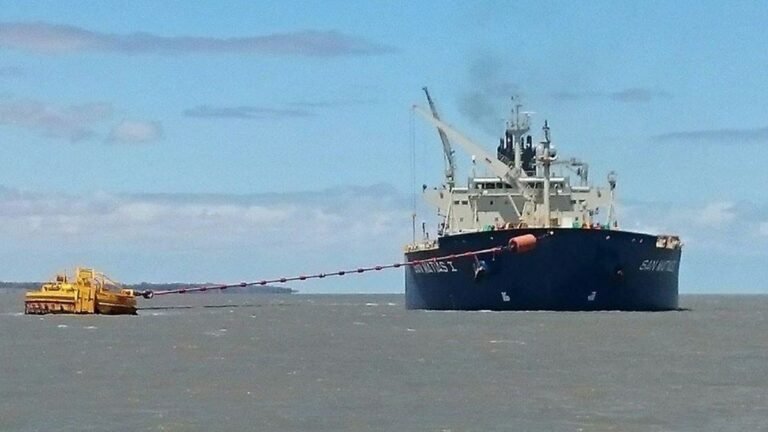 Estados Unidos y Chile son los principales destinos del crudo de Vaca Muerta