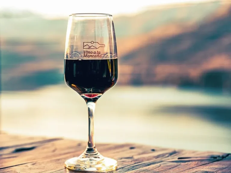 Se viene Vino a la Montaña, la feria de bodegas de la Patagonia