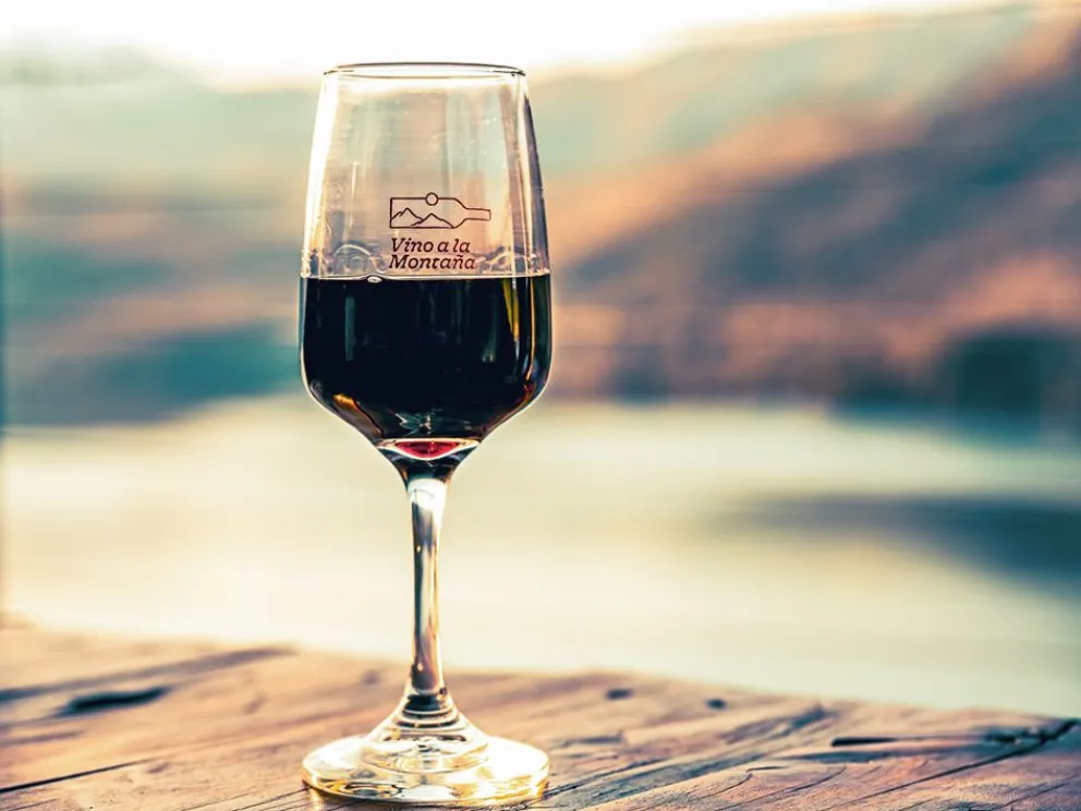 Se viene Vino a la Montaña, la feria de bodegas de la Patagonia
