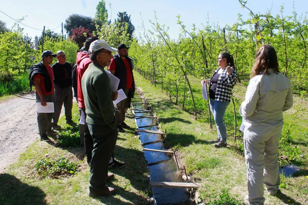 Talleres de riego para mejorar el uso del agua y la eficiencia productiva