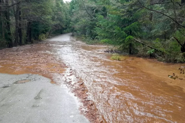 Vialidad informa sobre el estado de rutas y accesos en el sur neuquino